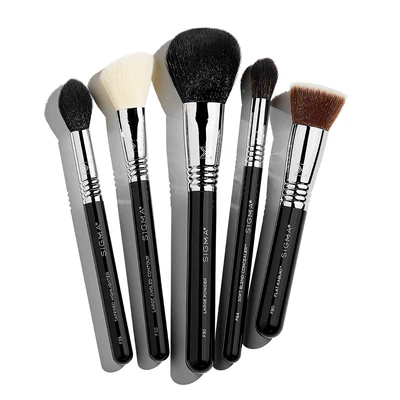 Classic Face Brush Set
