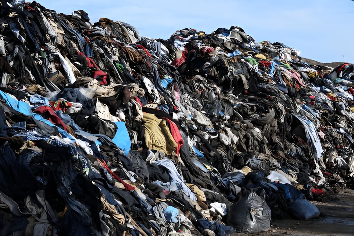 most toxic clothing brands